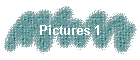 Pictures 1